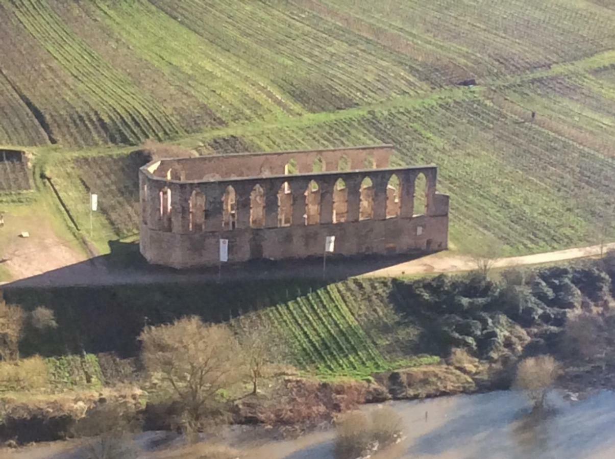 Storchenhaus Bremm Villa Luaran gambar